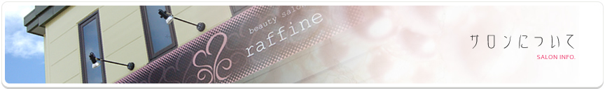 �T�����ɂ���